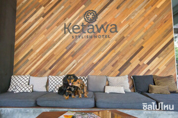 Ketawa Stylish Hotel โรงแรมสวยเก๋ต้อนรับสัตว์เลี้ยงด้วย