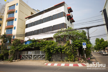 ที่เที่ยวเชียงใหม่: พิพิธภัณฑ์แมลงและสิ่งมหัศจรรย์ธรรมชาติ Museum of World Insects and Natural Wonders