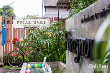 มาเชียงใหม่ไปร้านนมกันหรือยัง?: ฟองโนม ฟองนม