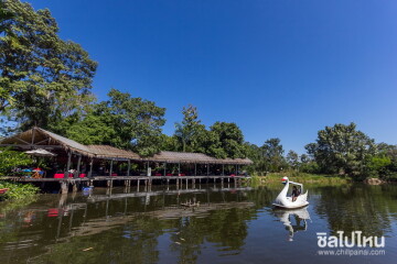 ไปฟินกันข้างทะเลสาบสวย: ภูฟินน์ in the lake เชียงใหม่