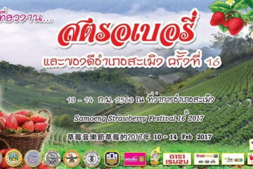 งานเทศกาลสตรอว์เบอร์รี่ ของดีอำเภอสะเมิง 10-14 กุมภาพันธ์ 2560