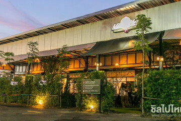 Milk Club เชียงใหม่ : ร้านที่หนุ่มๆทุกคนควรไปฟินกับอาหารปากและตา