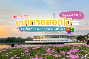 พลาดไม่ได้กับเทศกาลดอกไม้ที่สวนหลวง ร.9  จัดเต็มแค่ 10 วัน 1-10 ธ.ค.นี้เท่านั้น!