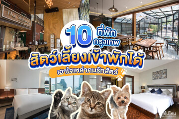 10 ที่พักในกรุงเทพ พาสัตว์เลี้ยงเข้าพักได้ เอาใจเหล่าคนรักสัตว์ อัปเดตใหม่ปี 2022 ในงบหลักพัน