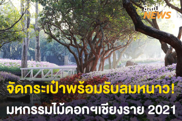 เดินชิลชมสวนสวยๆ รับลมหนาว ที่มหกรรมไม้ดอกอาเซียนเชียงรายประจำปี 2021