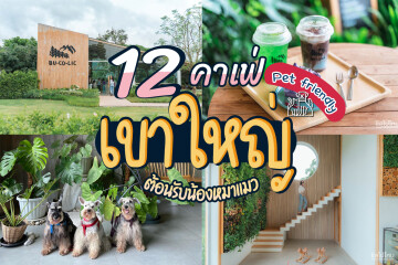 12 คาเฟ่เขาใหญ่ ต้อนรับน้องหมาแมว Pet Friendly