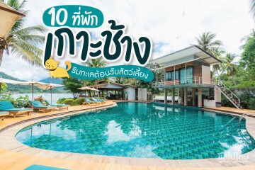 10 ที่พักเกาะช้างริมทะเลต้อนรับสัตว์เลี้ยง