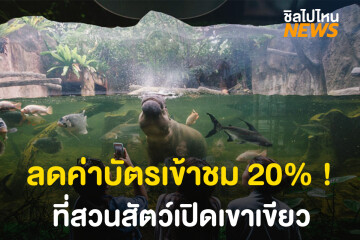 รู้ยัง! สวนสัตว์เปิดเขาเขียว ลดค่าบัตรเข้าชมถึง 20เปอร์เซ็น!