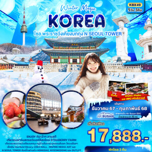 Winter Magic Korea Seoul โซล พระราชวังเคียงบกกุก N SEOUL TOWER 5วัน 3คืน