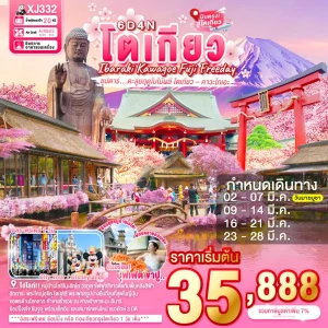 XJ332 ทัวร์ญี่ปุ่น อิบารากิ คาวาโกเอะ ฟูจิ โตเกียว 6 วัน 4 คืน