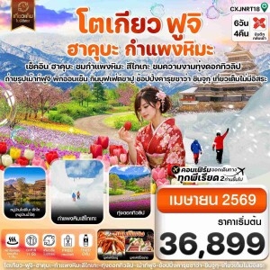 CXJNRT18 ญี่ปุ่น โตเกียว ฮาคุบะ สึไกเกะกำแพงหิมะ 6 วัน 4 คืน