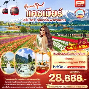 ทัวร์ศรีนาคา กุลมาร์ค พาฮาลแกม พัก House Boats 5 วัน 3 คืน