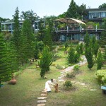 Akirynya Resort (อคีรีณยา รีสอร์ท) ห้อง Top View 2 ท่าน เขาค้อ