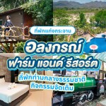 Alongkorn farm and resort (อลงกรณ์ ฟาร์ม แอนด์ รีสอร์ต) ห้อง บ้านลอฟท์ 2 ท่าน แก่งกระจาน