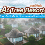 At Tree Resort Khaokho (แอททรี รีสอร์ท เขาค้อ) ห้อง The Touch 2 ท่าน เขาค้อ