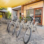 ทัวร์ครึ่งวัน ปั่นจักรยานชมเมืองโบราณ อยุธยา