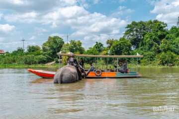 [Ayutthaya] Ayutthaya Island Boat Tour – Temple Hopping and Elephant Watching Private