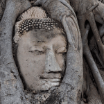 One Day Trip นั่งรถไฟไปอยุธยา ขึ้นรถตุ๊กๆ ปั่นจักรยานชมเมืองเก่า นั่งเรือชมเกาะ พร้อมอาหารกลางวัน,อยุธยา