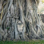 One Day Trip นั่งรถไฟไปอยุธยา ขึ้นรถตุ๊กๆ ปั่นจักรยานชมเมืองเก่า นั่งเรือชมเกาะ พร้อมอาหารกลางวัน,อยุธยา