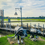 ทัวร์ส่วนตัว อยุธยาเต็มวัน : ชมมรดกโลกยูเนสโก เที่ยวรักษ์นา คาเฟ่ + รถรับ-ส่งจากกรุงเทพ