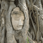 ทัวร์ส่วนตัว อยุธยาเต็มวัน : ชมมรดกโลกยูเนสโก เที่ยวรักษ์นา คาเฟ่ + รถรับ-ส่งจากกรุงเทพ