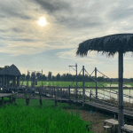 ทัวร์ส่วนตัว อยุธยาเต็มวัน : ชมมรดกโลกยูเนสโก เที่ยวรักษ์นา คาเฟ่ + รถรับ-ส่งจากกรุงเทพ