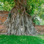 [From Bangkok] Trip to Ayutthaya by Rail, Road and River