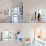 Baan Kangmung HuaHin Resort (บ้านกางมุ้ง หัวหิน รีสอร์ท) ห้อง One​ Bedroom​ ​Beach ​Front​ Pool​ Access​ 2 ท่าน, หัวหิน