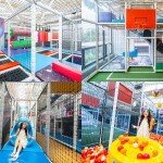 Balcony Seaside Sriracha (บัลโคนี ซีไซด์ ศรีราชา) ห้อง Luxury Suite 1 Bedroom 2 ท่าน , ศรีราชา ชลบุรี