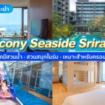 Balcony Seaside Sriracha (บัลโคนี ซีไซด์ ศรีราชา) ห้อง Luxury Suite 1 Bedroom 2 ท่าน , ศรีราชา ชลบุรี