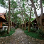 Bandhaya Resort (บันดาหยา รีสอร์ท) เกาะหลีเป๊ะ