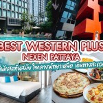 Best Western Plus Nexen Pattaya (เบสท์เวสเทิร์นพลัสเน็กเซ็น พัทยา) ห้อง Deluxe city view 2 ท่าน, พัทยา