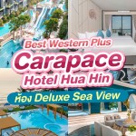 Best Western Plus Carapace Hotel Hua Hin (โรงแรม เบสท์ เวสเทิร์น พลัส คาราเพซ หัวหิน) ห้อง Deluxe Sea View 2 ท่าน