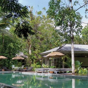 Blu Monkey Hotels (บลูมังกี้ โฮเทล) 2 ท่าน, ภูเก็ต กระบี่