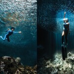 เรือไม้หัวโทง One Day Trip ดำน้ำตื้น เกาะร้านเป็ด - ร้านไก่ ชุมพร รวมเซตอาหารทะเล ถ่ายรูปใต้น้ำสุดปัง