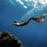 เรือไม้หัวโทง One Day Trip ดำน้ำตื้น เกาะร้านเป็ด - ร้านไก่ ชุมพร รวมเซตอาหารทะเล ถ่ายรูปใต้น้ำสุดปัง