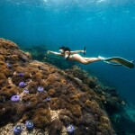 เรือไม้หัวโทง One Day Trip ดำน้ำตื้น เกาะร้านเป็ด - ร้านไก่ ชุมพร รวมเซตอาหารทะเล ถ่ายรูปใต้น้ำสุดปัง