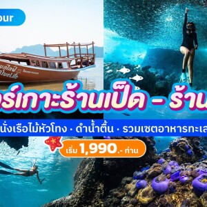 Luxury Boat One Day Trip Snorkeling Koh Lan Ped and Lan Kai island Chumphon