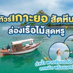 ล่องเรือไม้สุดหรู Baifern เที่ยวเกาะยอ ดำน้ำ + พายเรือซับบอร์ด + ตกปลา ตกหมึก + เซตกุ้งเผา, สัตหีบ ชลบุรี