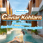 Caviar Kohlarn (คาเวียร์ เกาะล้าน) ห้อง Caviar Pool access / Caviar Terrace Sea View 2 ท่าน เกาะล้าน