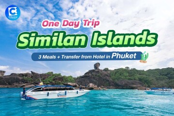 [From Phuket] Speed Boat : Similan Islands Day Trip With Hotel Transfers from Phuket