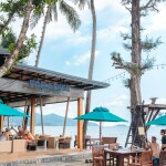 Koh Chang Paradise Resort & Spa (เกาะช้าง พาราไดซ์ รีสอร์ท แอนด์ สปา) ห้อง Superior Bungalow 2 ท่าน , เกาะช้าง