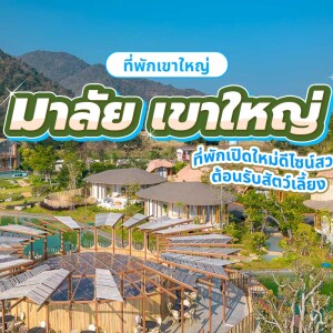 Malai Khao Yai (มาลัย เขาใหญ่) ห้อง Creek Villa Room 2 ท่าน, เขาใหญ่