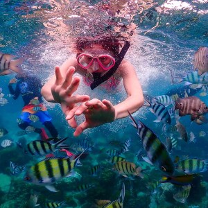 pattaya sea adventure (พัทยาซีแอดเวนเจอร์) ดำน้ำชมปลาการ์ตูน สัมผัสปะกาลัง และถ่ายรูปใต้น้ำ