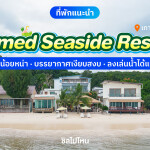 Samed Seaside Resort (เสม็ด ซีไซด์ รีสอร์ท) ห้อง เตียงใหญ่พร้อมวิวทะเล 2 ท่าน เกาะเสม็ด