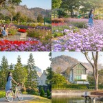 Thames Valley Khao Yai Hotel (โรงแรม เทมส์ วัลลี่ย์ เขาใหญ่) ห้อง Deluxe Thames Garden 2 ท่าน, เขาใหญ่