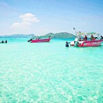 แพ็คเกจทริปดำน้ำแสมสาร เรือสปีดโบ๊ท (จอยทริป) โชคธิดาทราเวล, สัตหีบ ชลบุรี