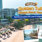 Golden Tulip Pattaya Beach Resort (โกลเด้นทิวลิป พัทยา บีช รีสอร์ท) : ห้อง Pool Access 2 ท่าน, พัทยา