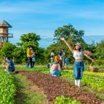 Coolliving Farmhouse (คูลลิฟวิ่ง ฟาร์มเฮ้า) ห้อง Panorama Pond Villa 2 ท่าน พร้อมกิจกรรมในฟาร์ม, วังน้ำเขียว นครราชสีมา