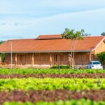 Coolliving Farmhouse (คูลลิฟวิ่ง ฟาร์มเฮ้า) ห้อง Panorama Pond Villa 2 ท่าน พร้อมกิจกรรมในฟาร์ม, วังน้ำเขียว นครราชสีมา